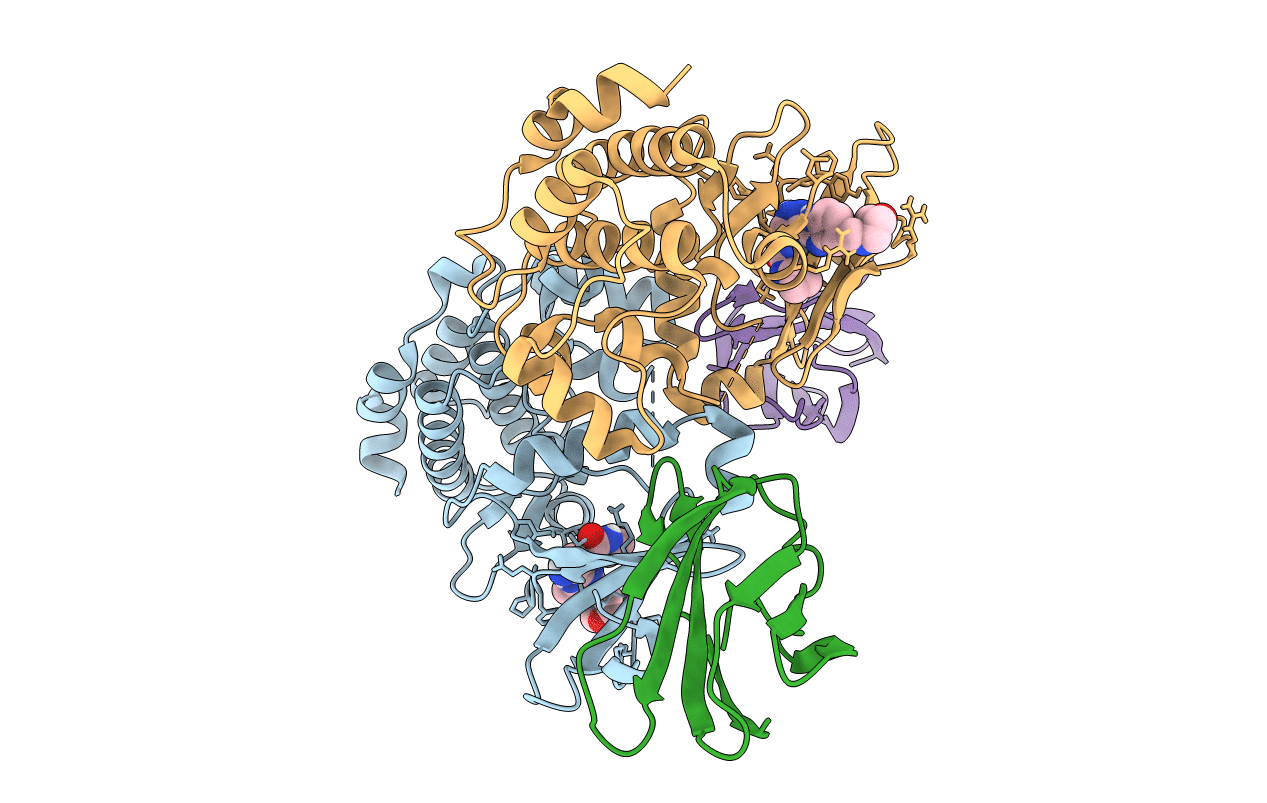 6CPG image