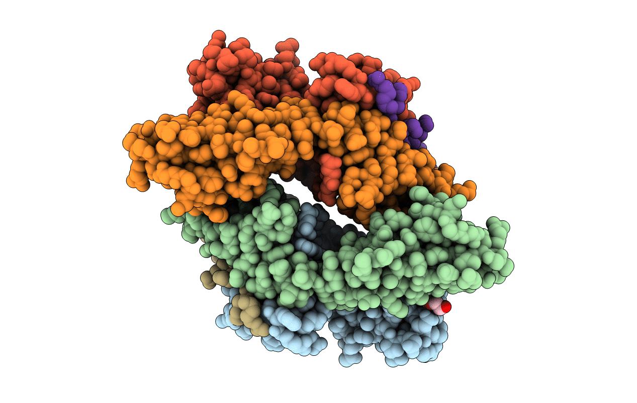6CPO image
