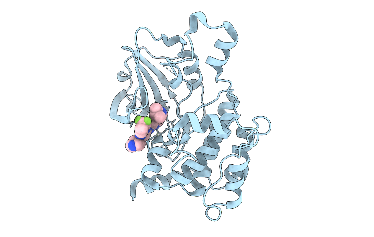 6CQF image