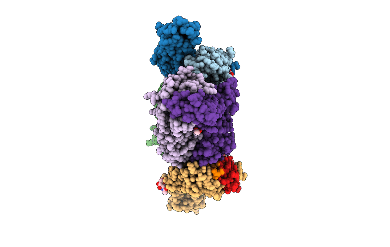 6CQQ image