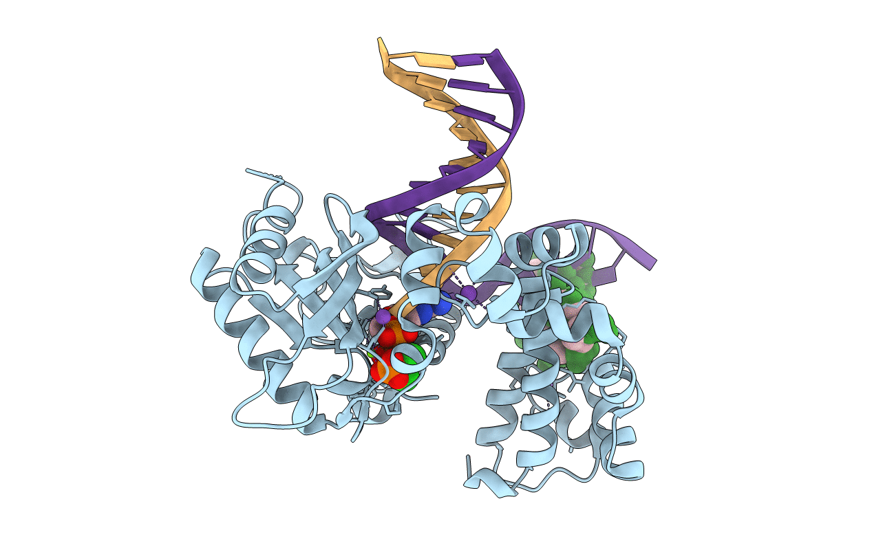 6CRC image