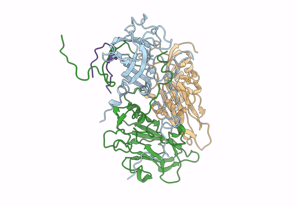6CRP image