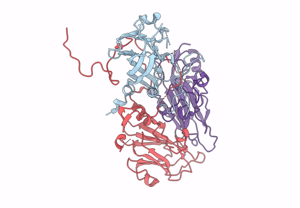 6CSH image