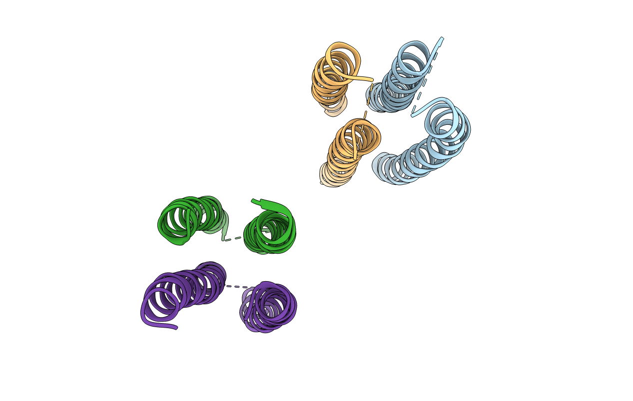 6CSV image