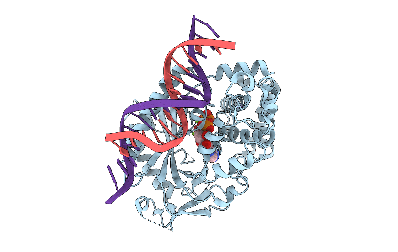 6CTA image