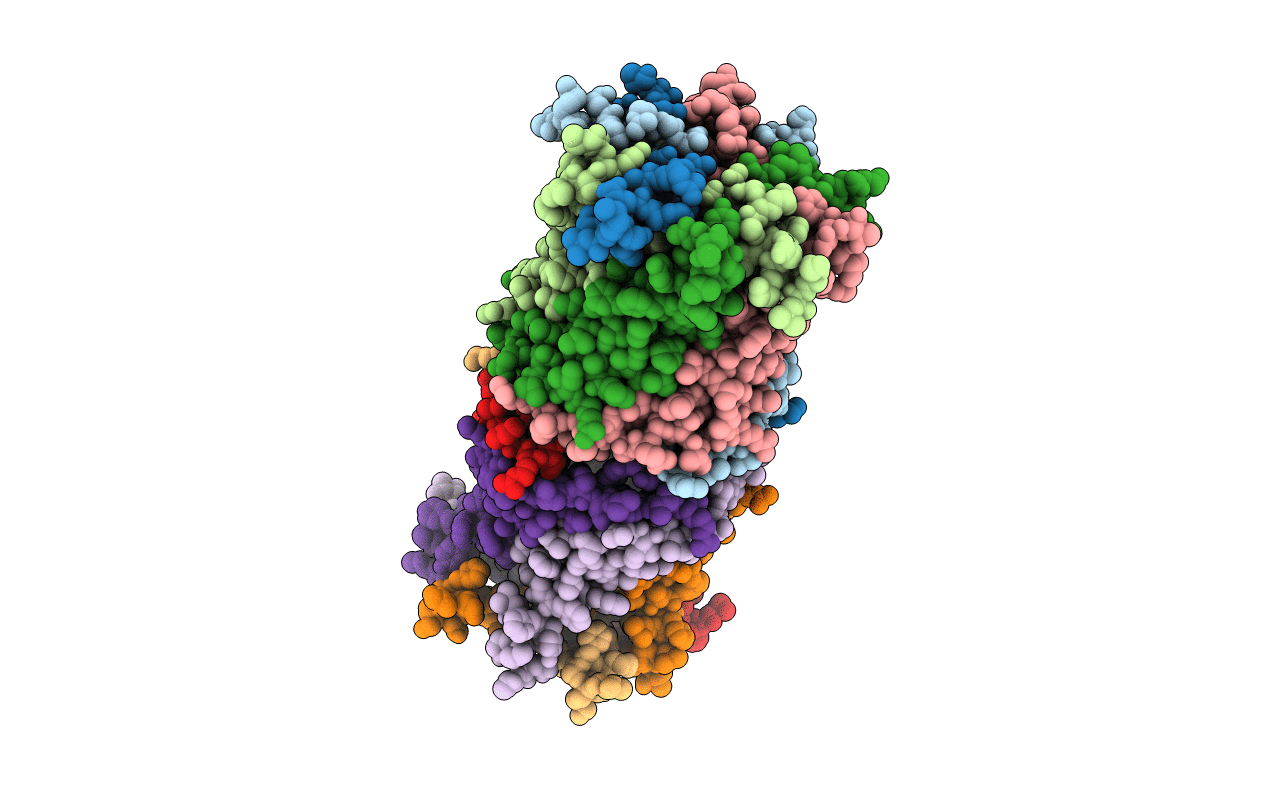 6CTD image