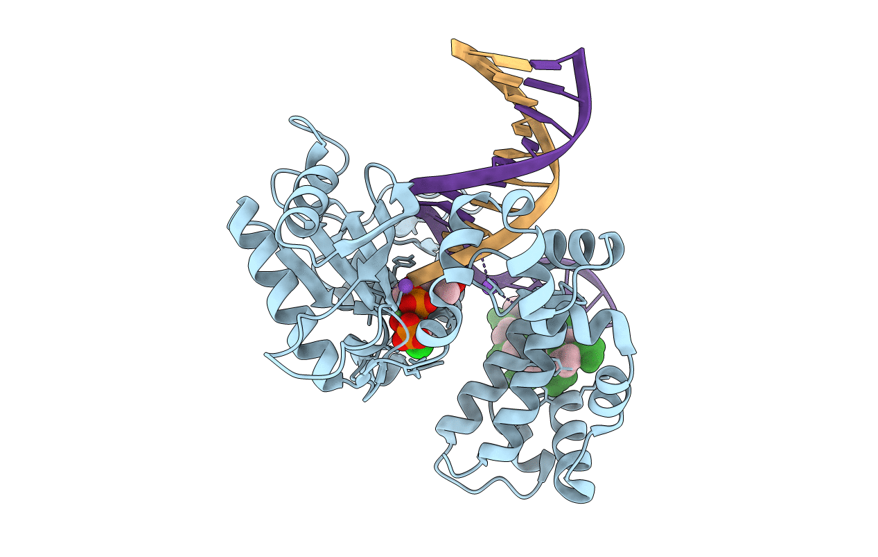 6CTM image
