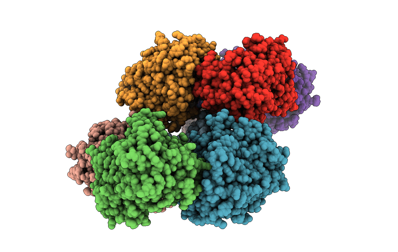6CUL image