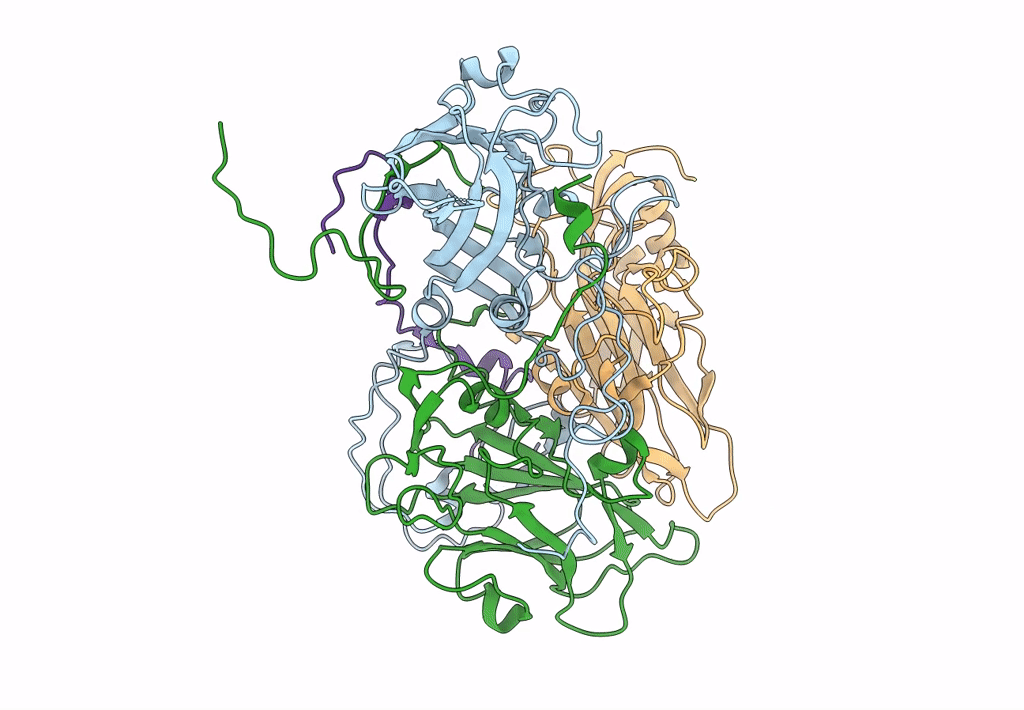 6CV2 image