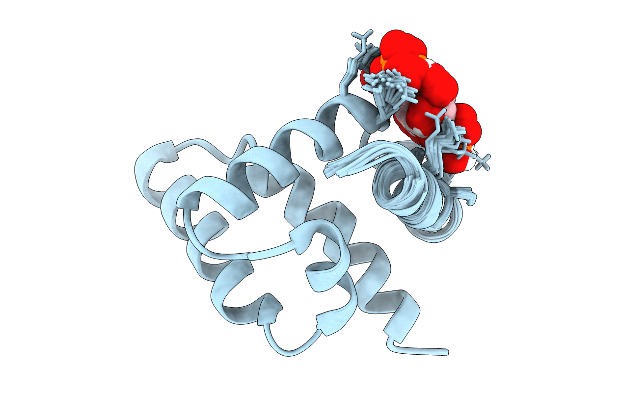 6CV8 image