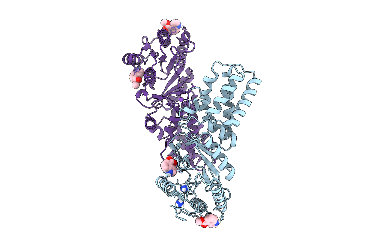 6CVD image