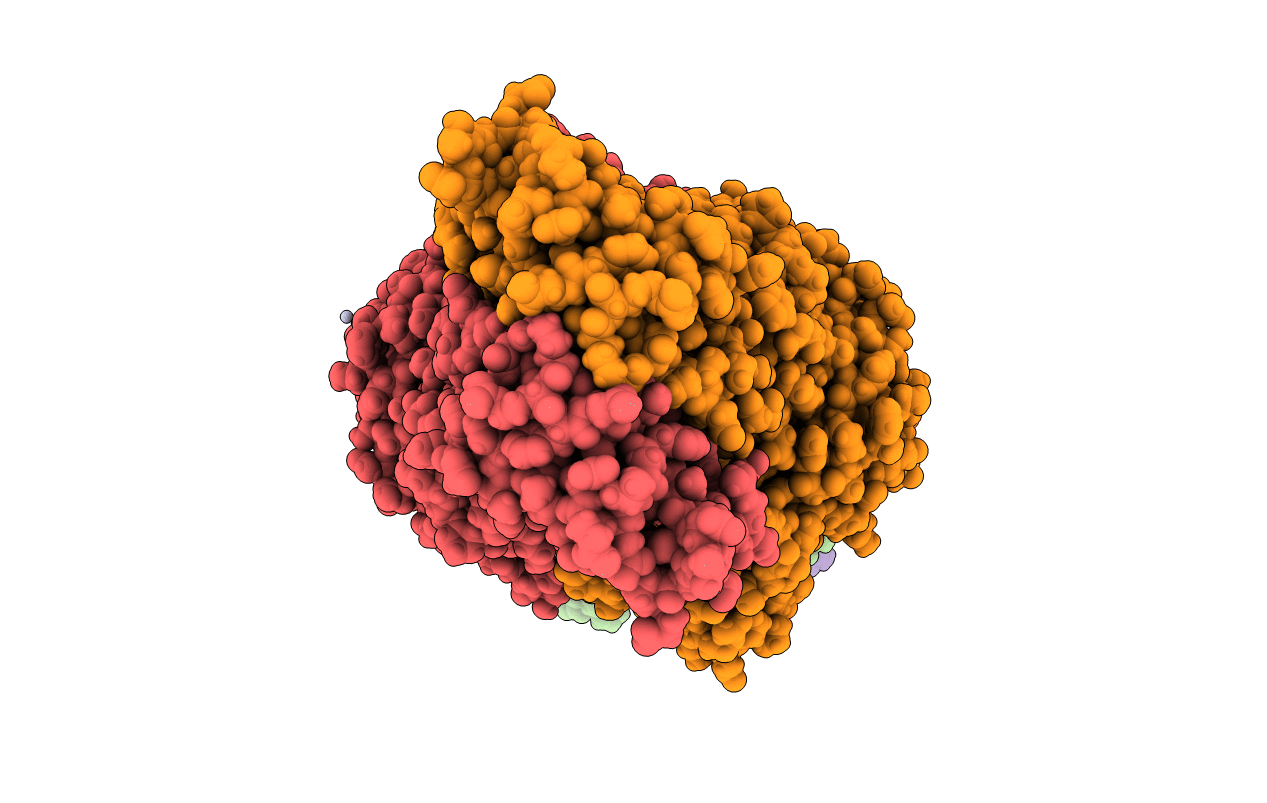 6CVL image