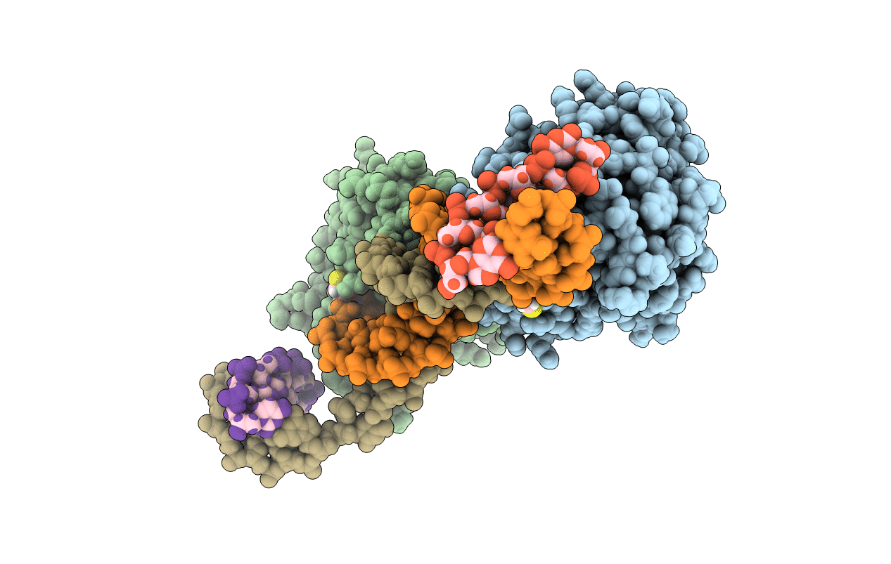 6CVO image