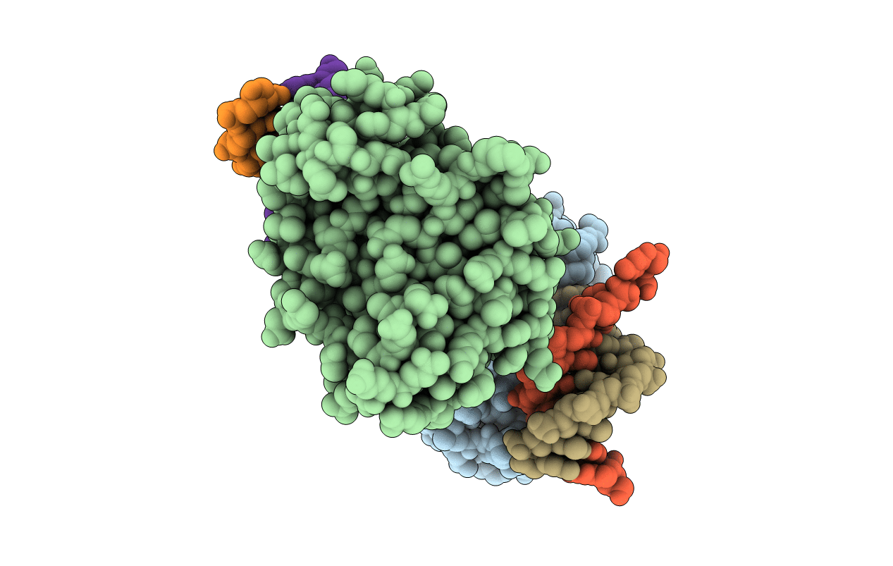 6CVP image