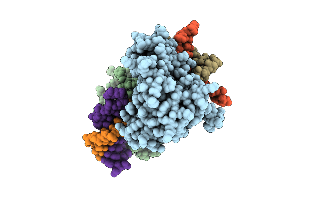 6CVR image