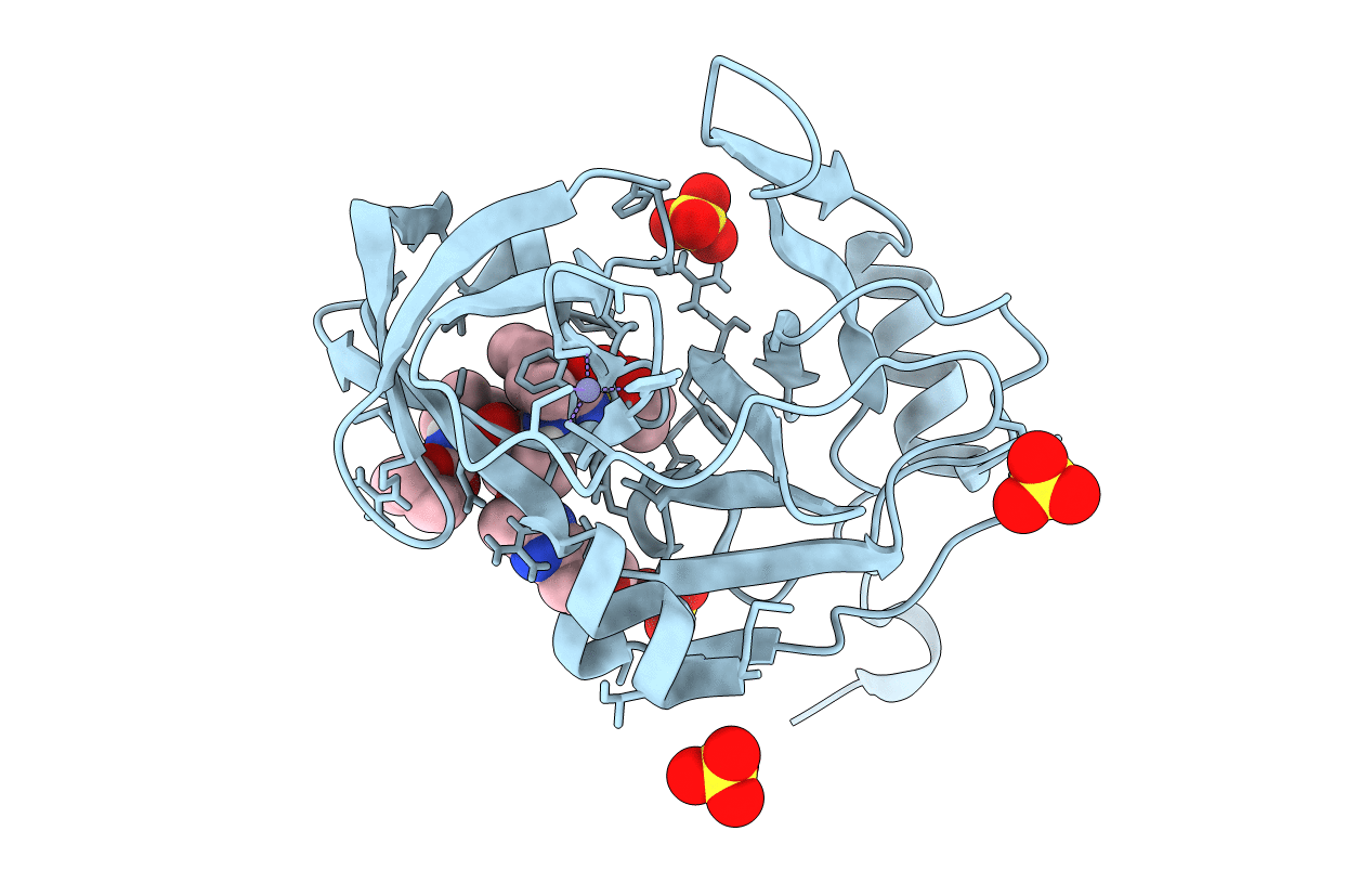 6CVW image