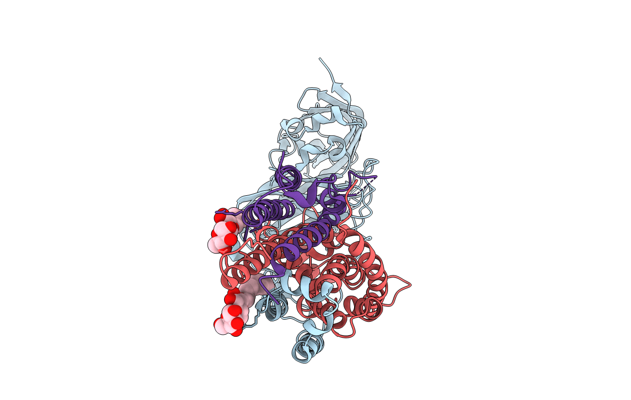 6CXH image