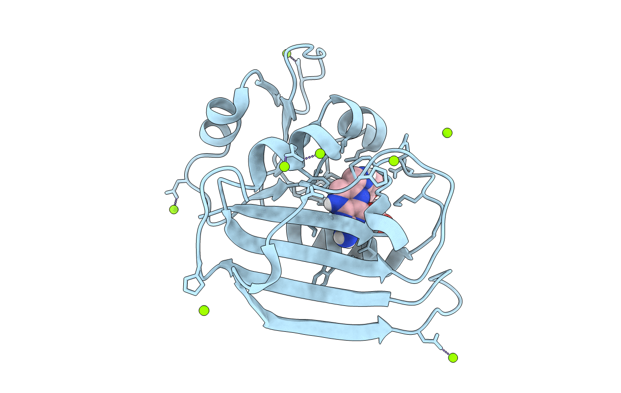 6CXK image