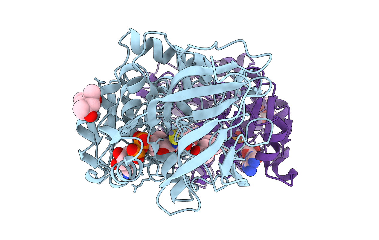6CXX image