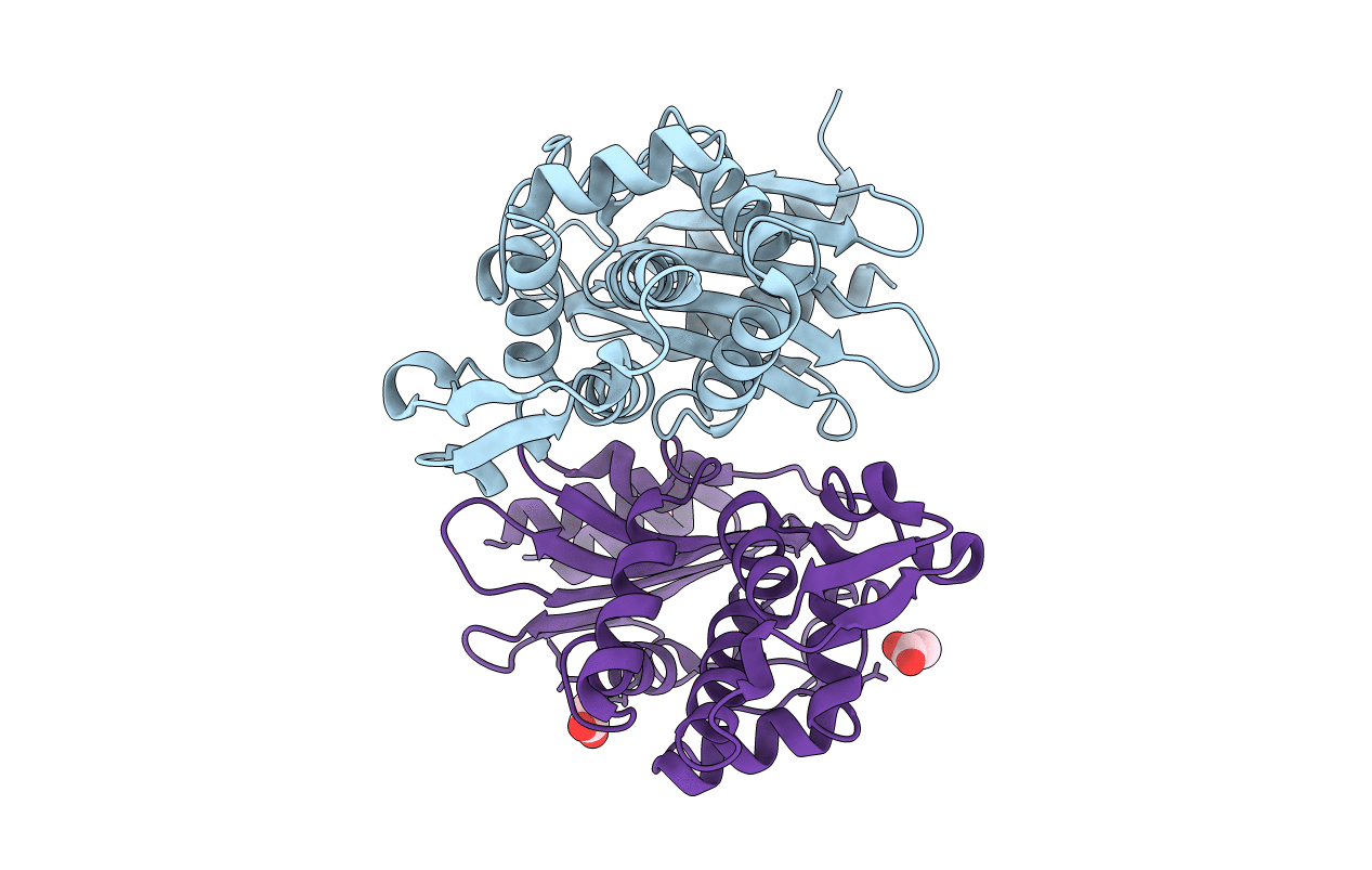 6CYK image