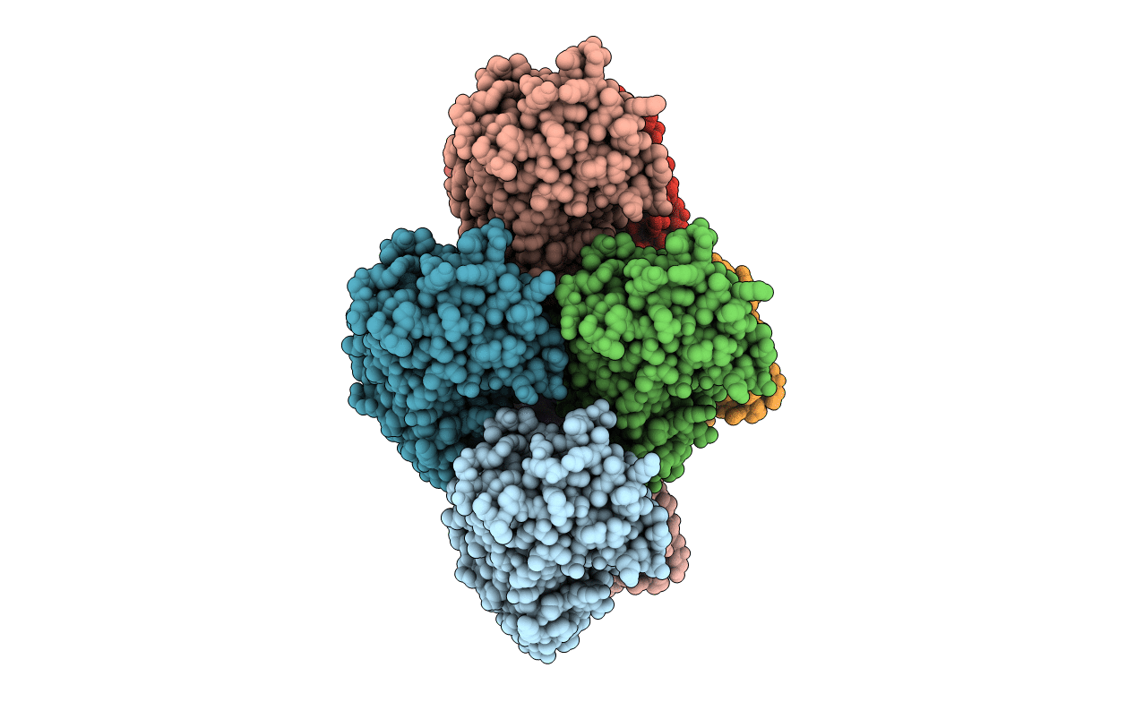6CYN image
