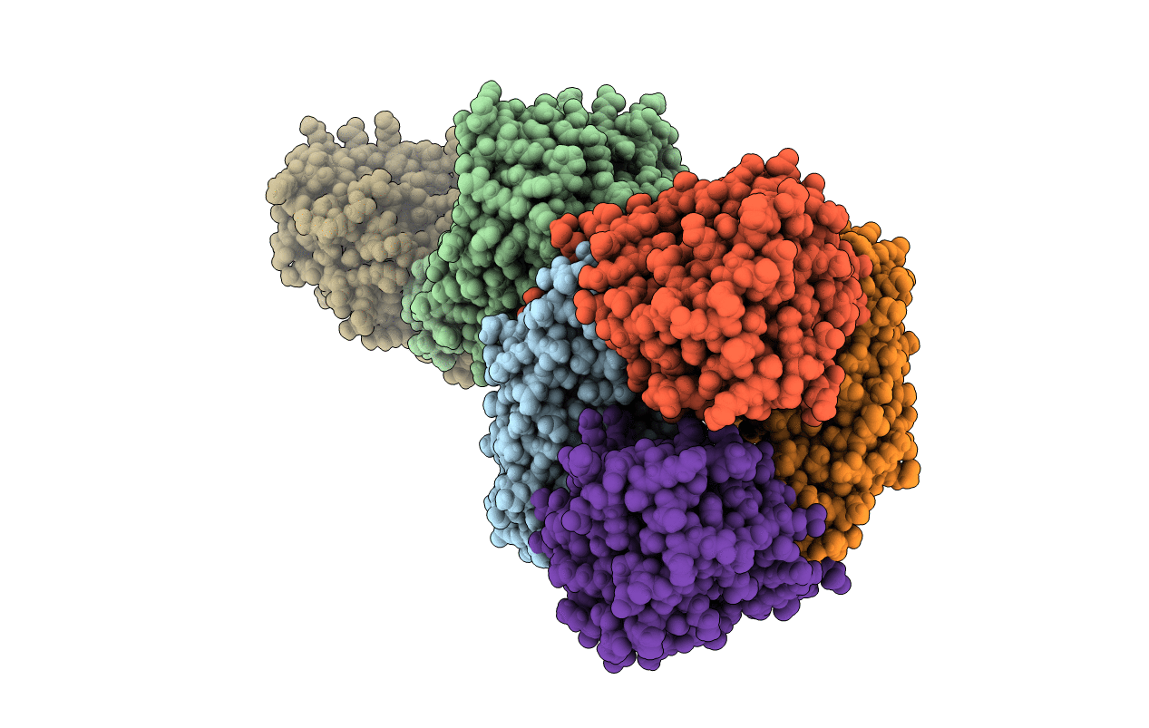 6CYP image