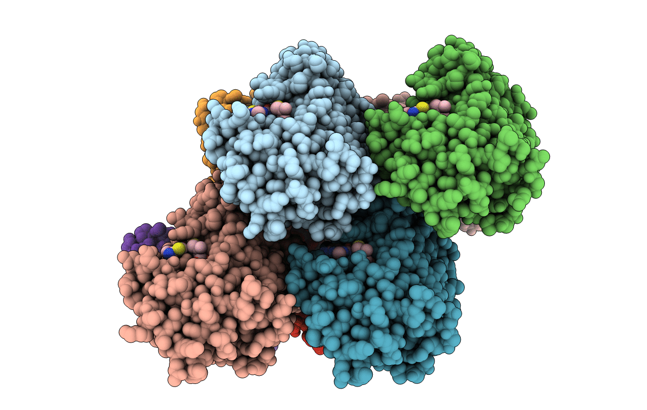 6CYQ image