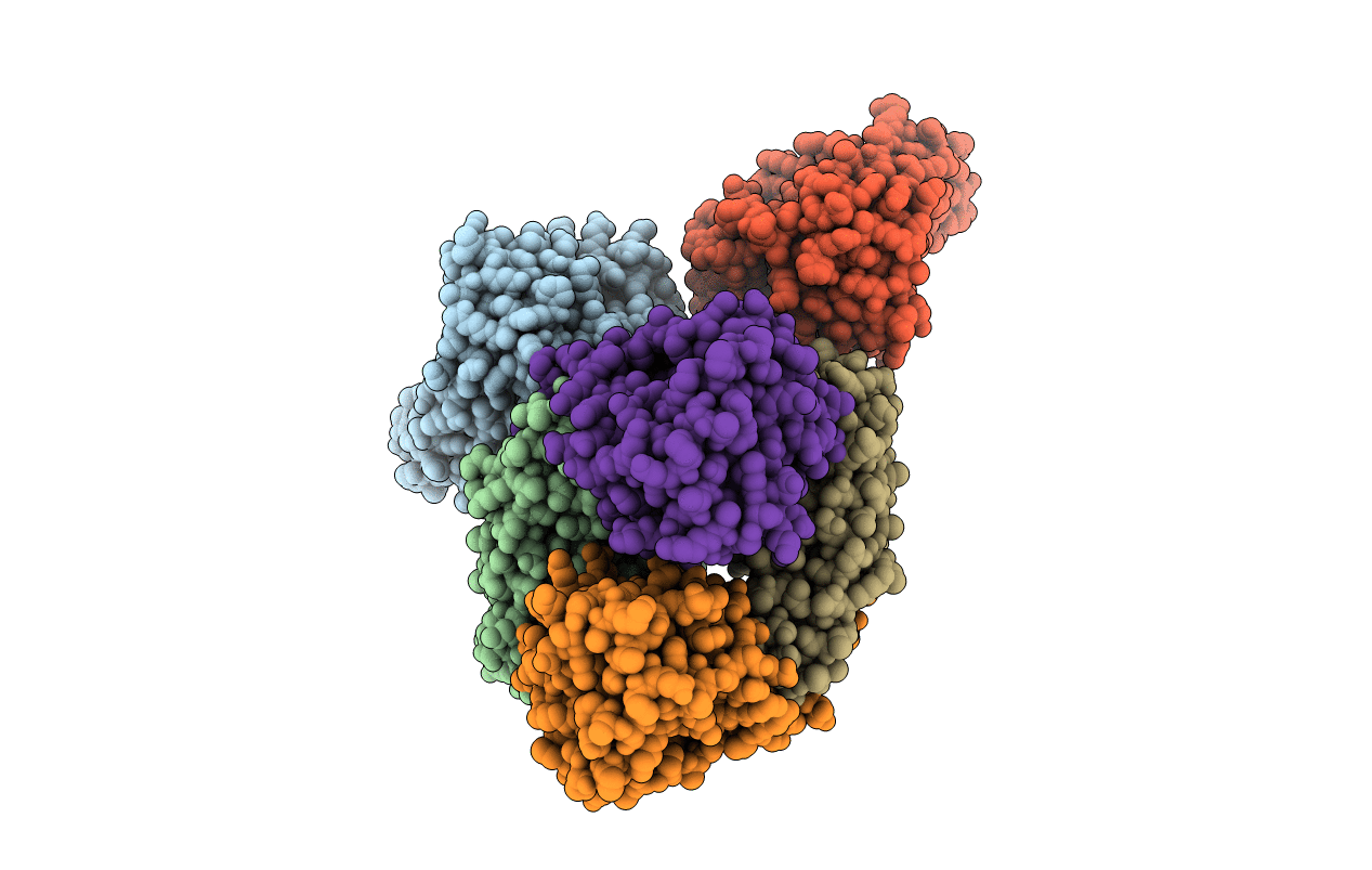 6CYX image