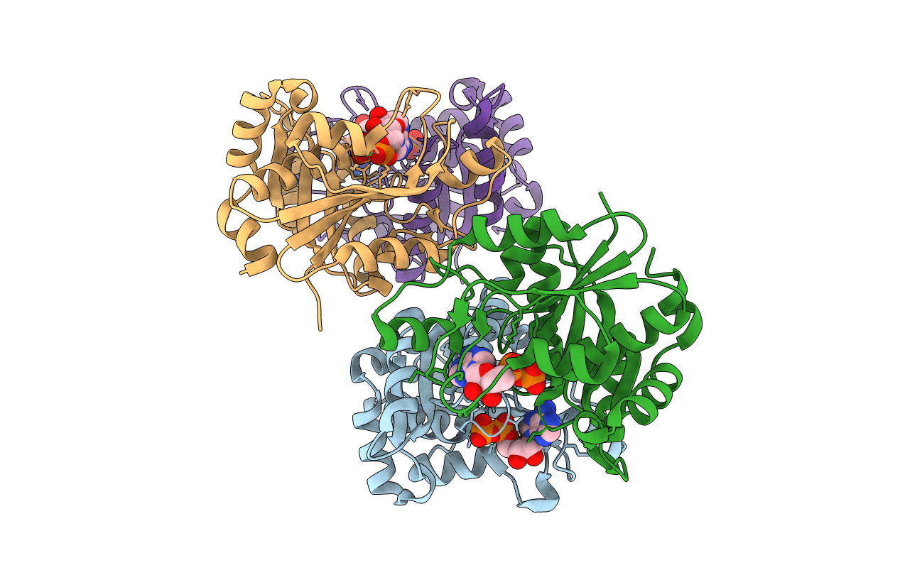 6CZD image