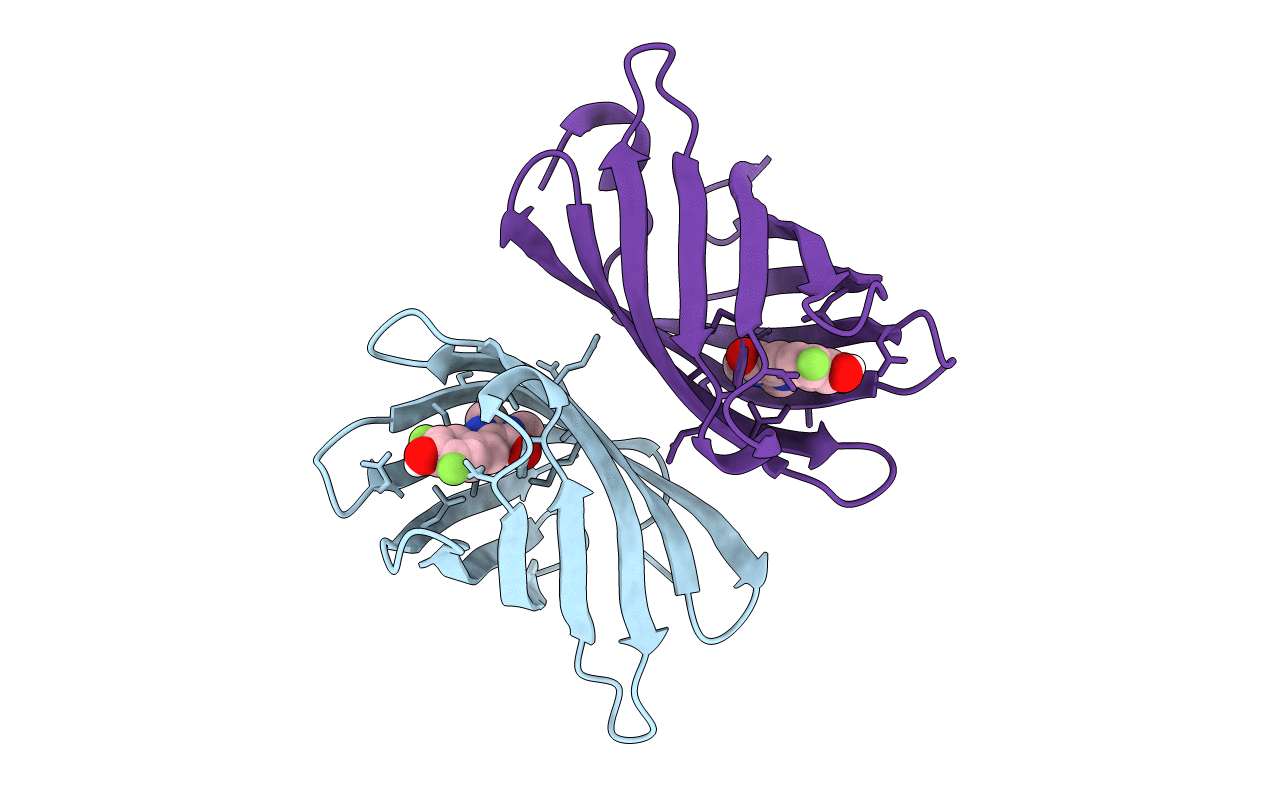6CZH image