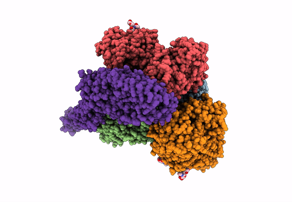 6D03 image