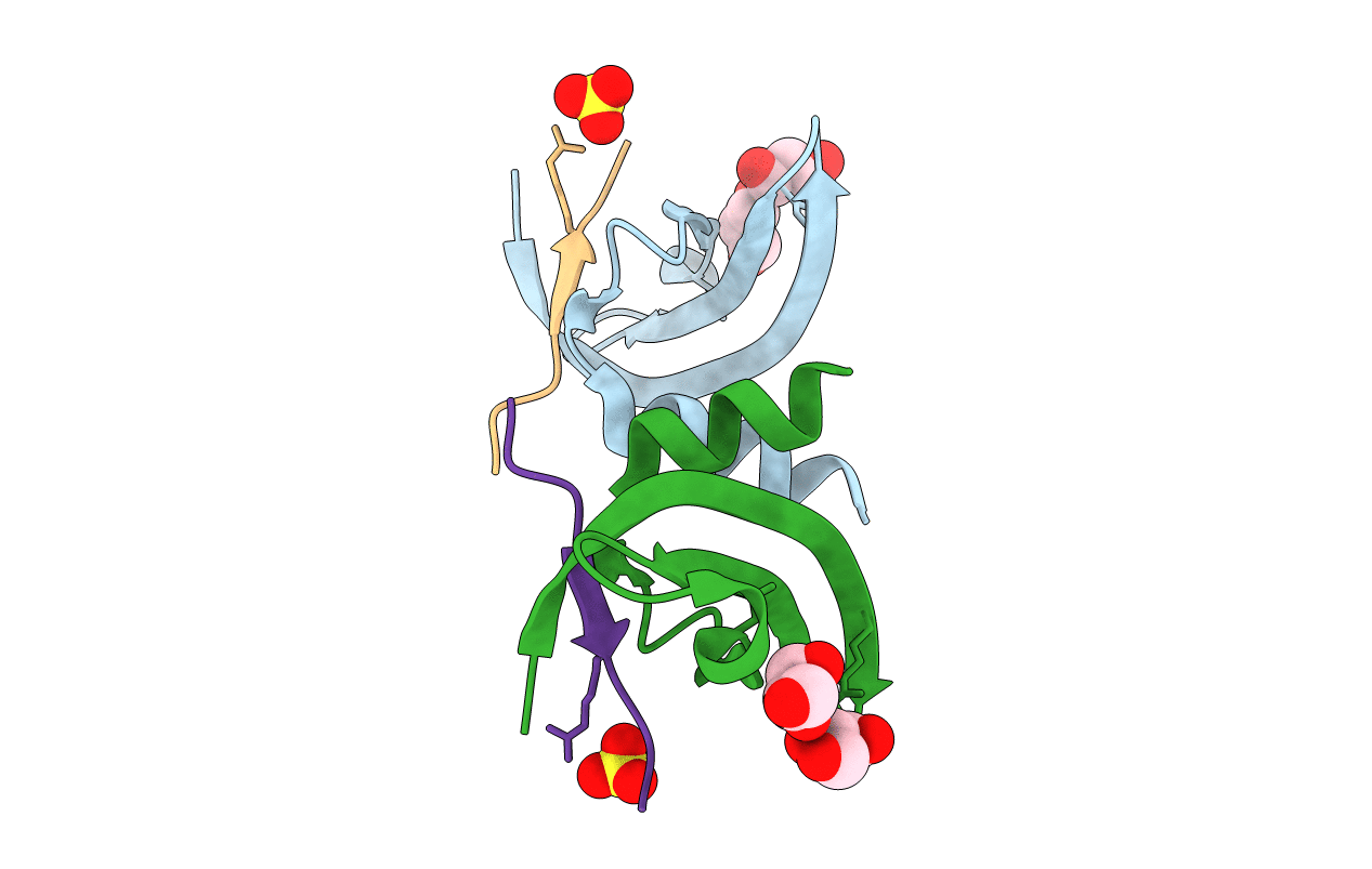 6D08 image