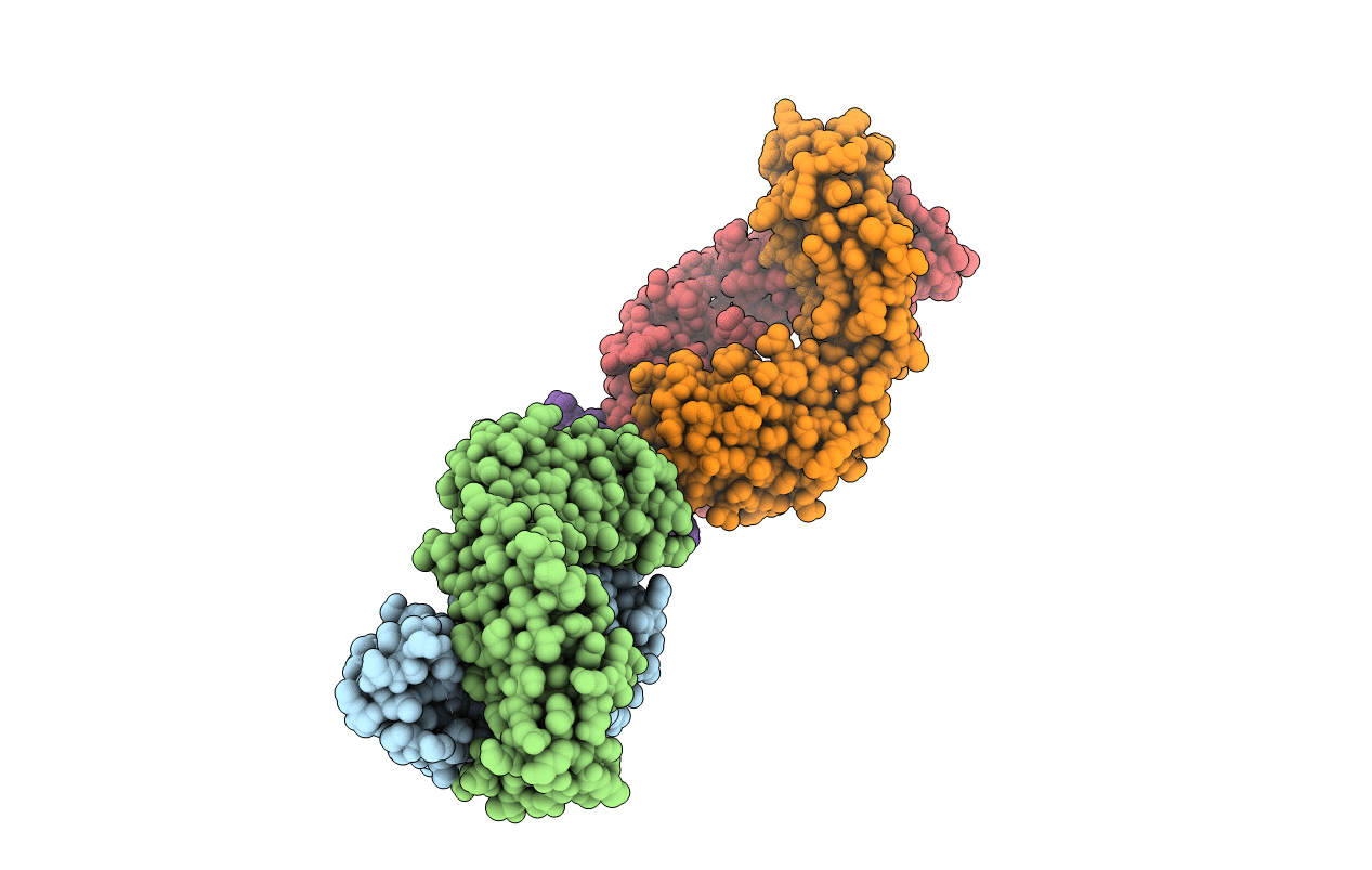 6D11 image