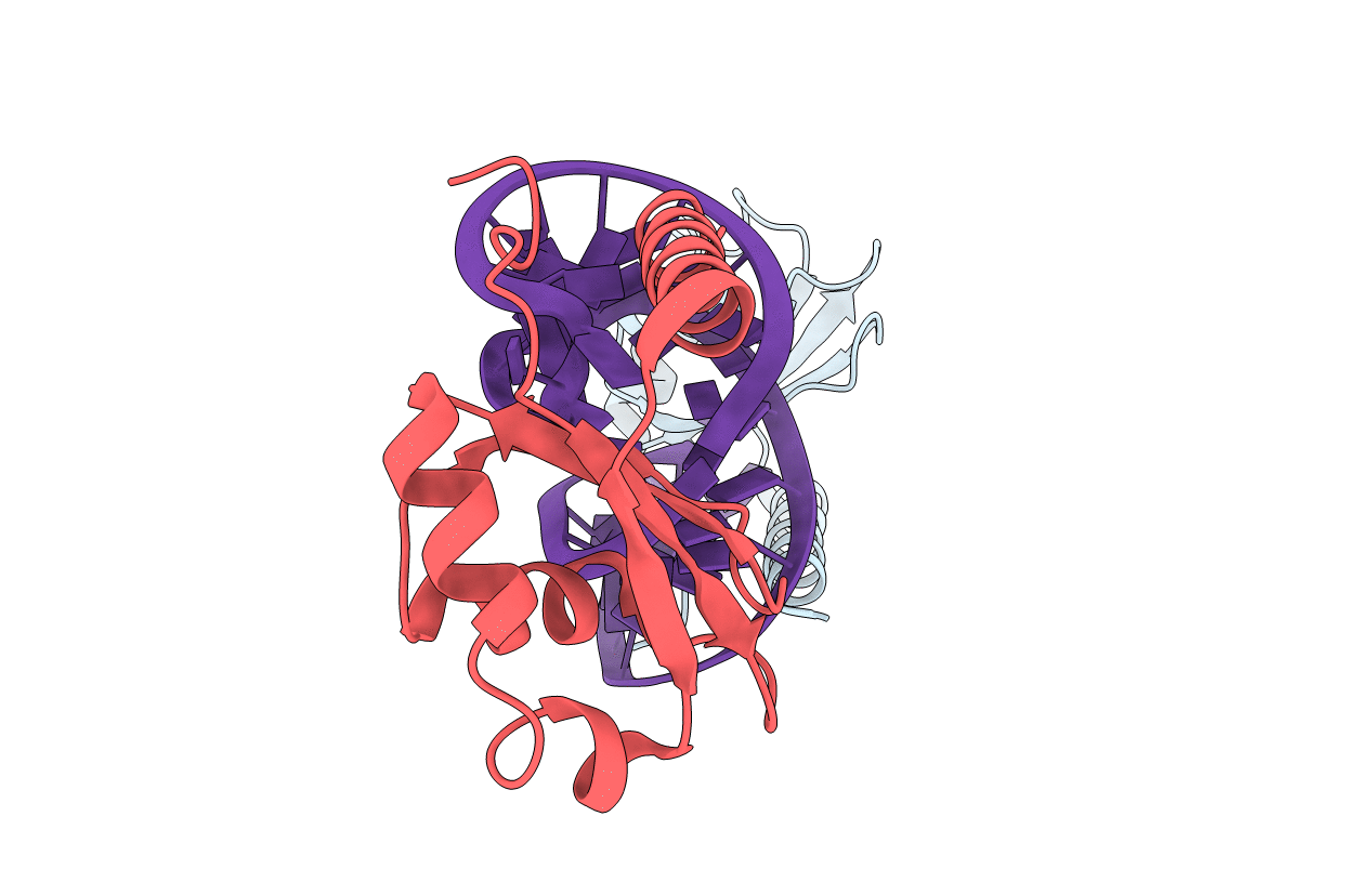 6D12 image