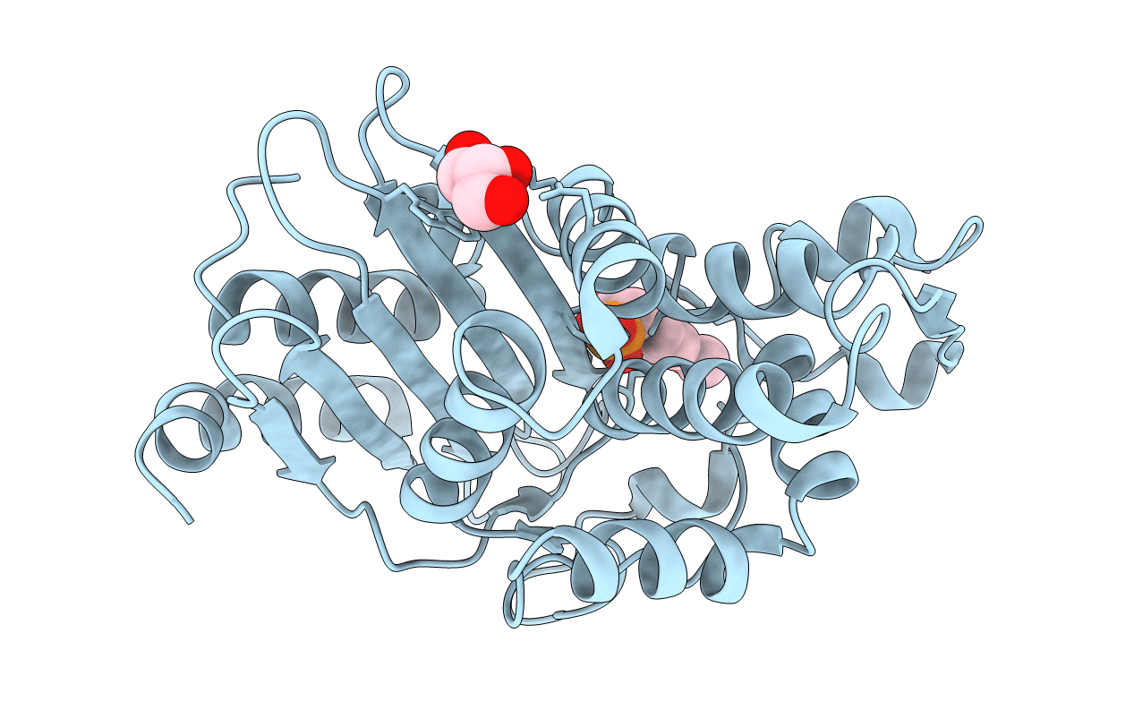 6D16 image