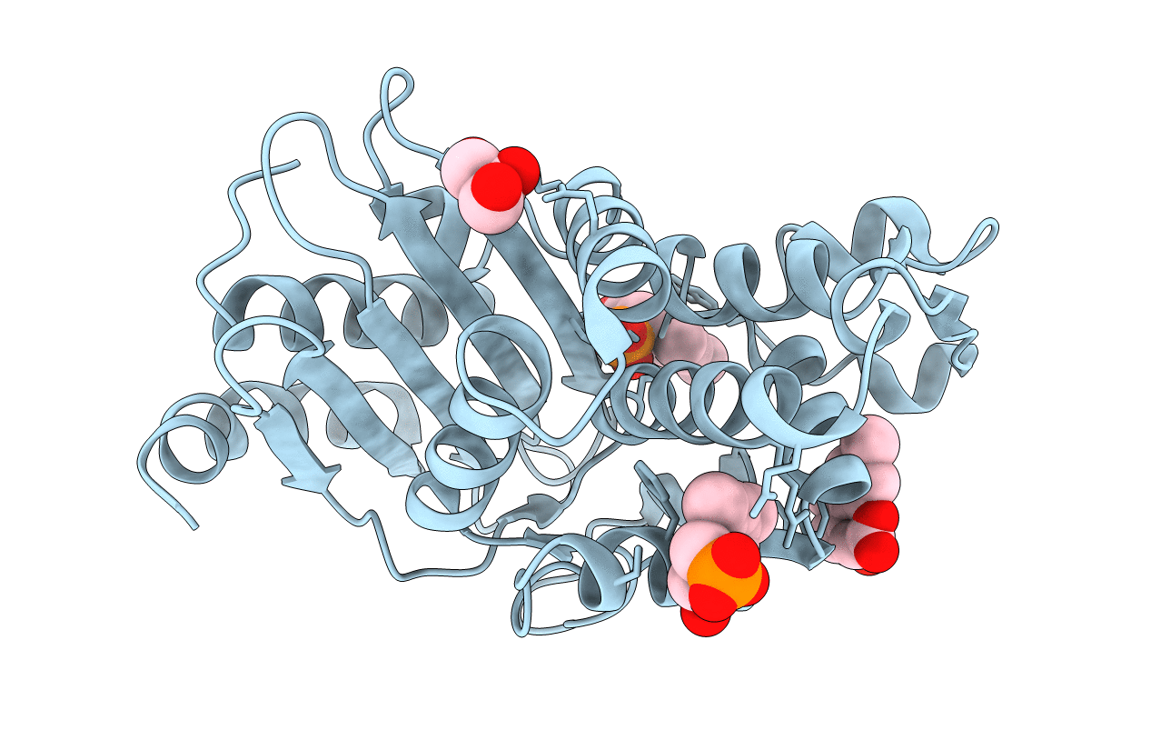 6D18 image