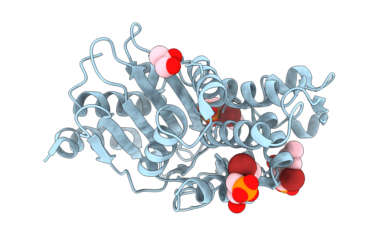 6D19 image