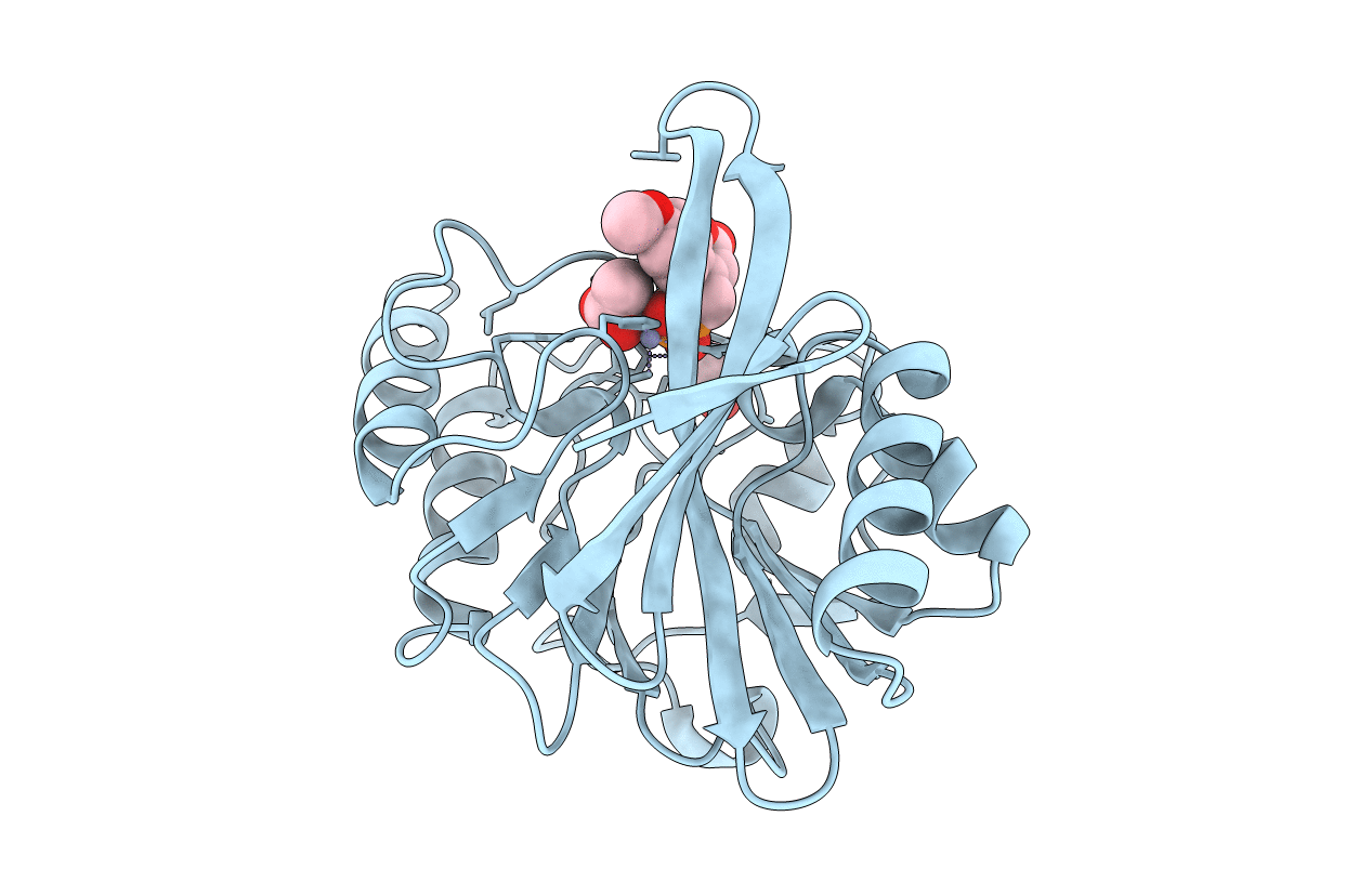 6D1B image