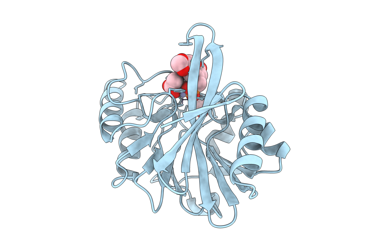 6D1C image