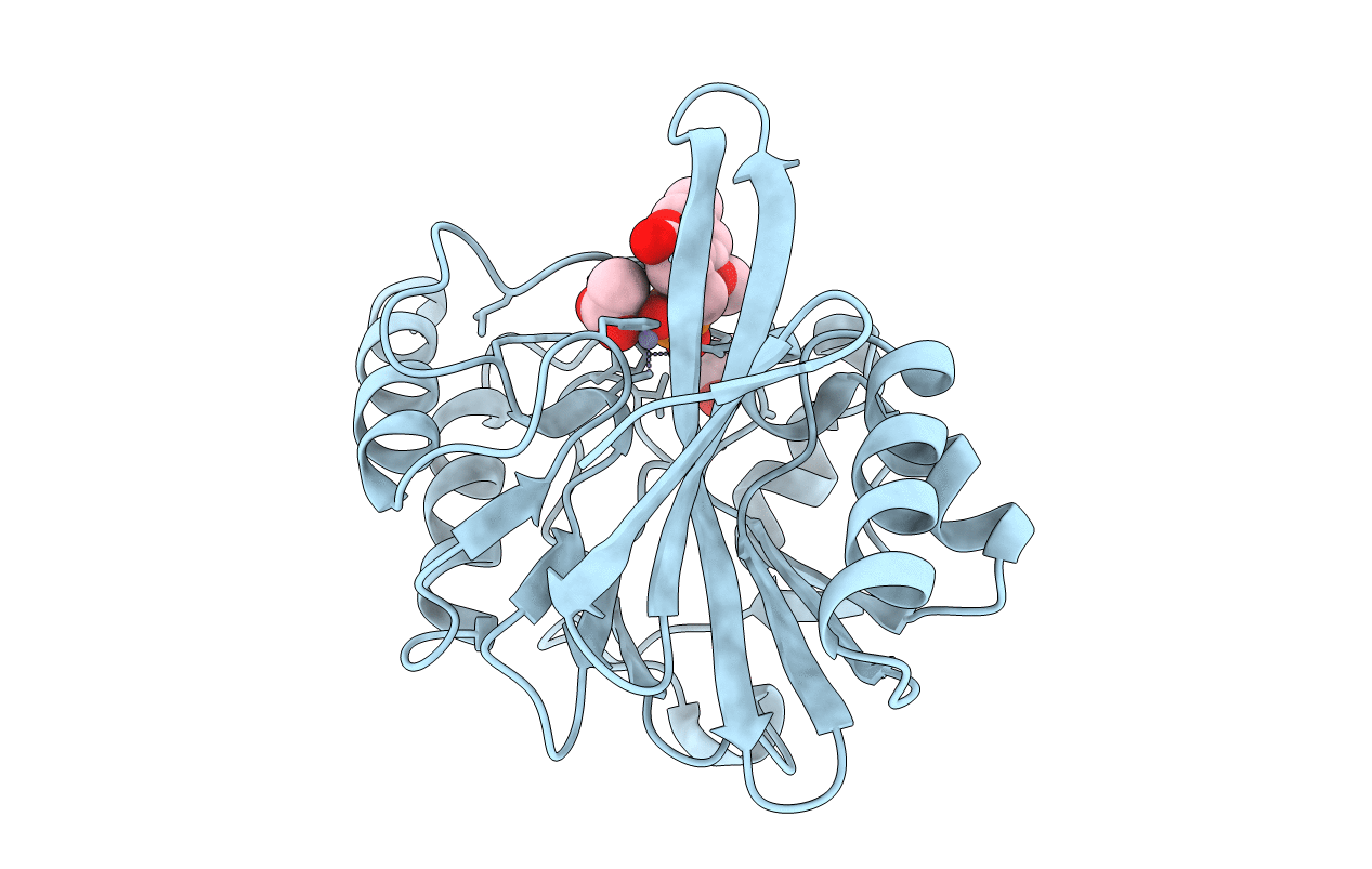 6D1E image