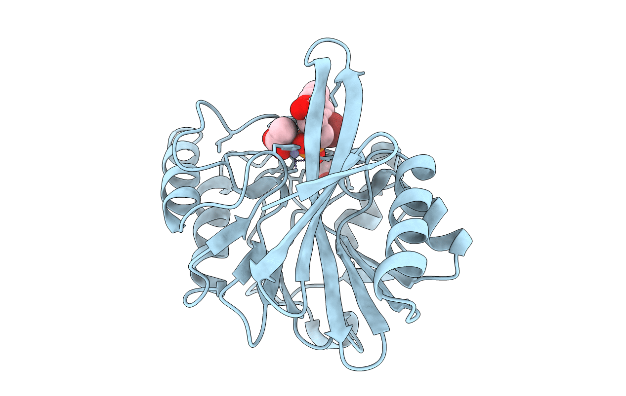 6D1G image