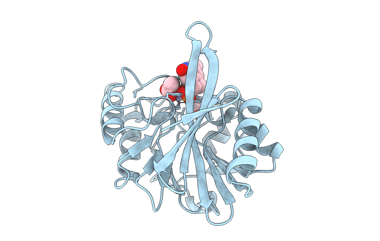 6D1J image