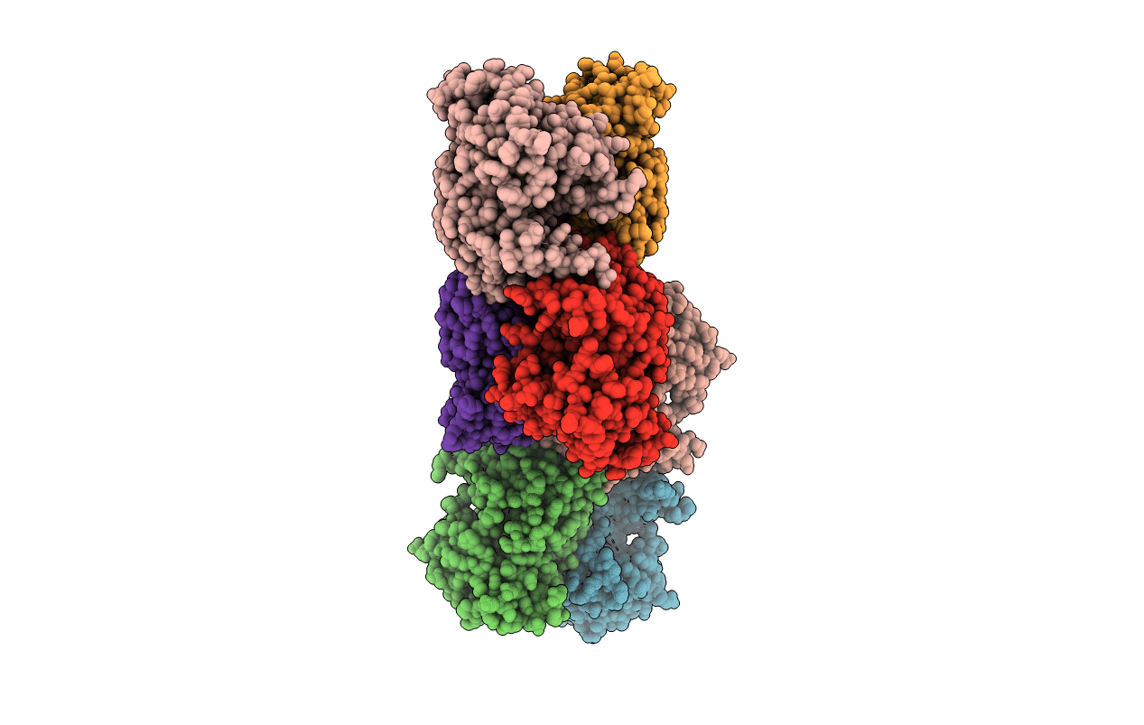 6D1O image