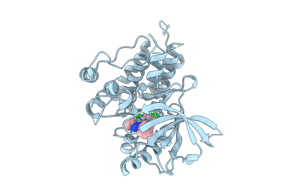 6D1Y image