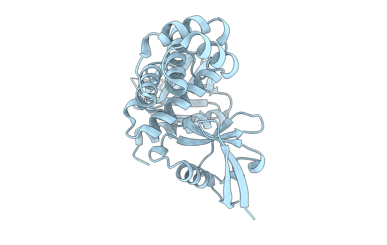 6D21 image