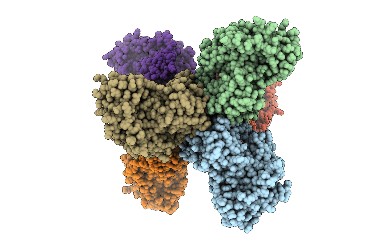 6D25 image