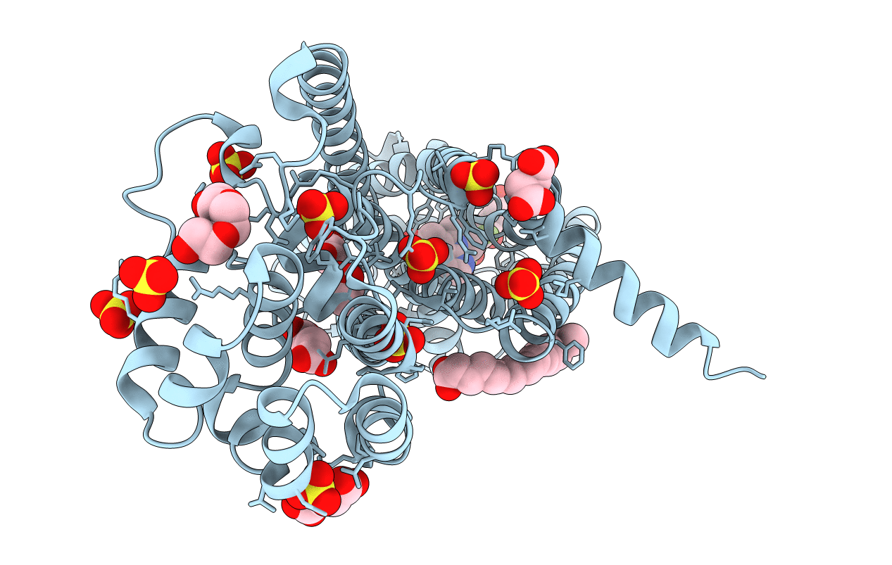 6D26 image