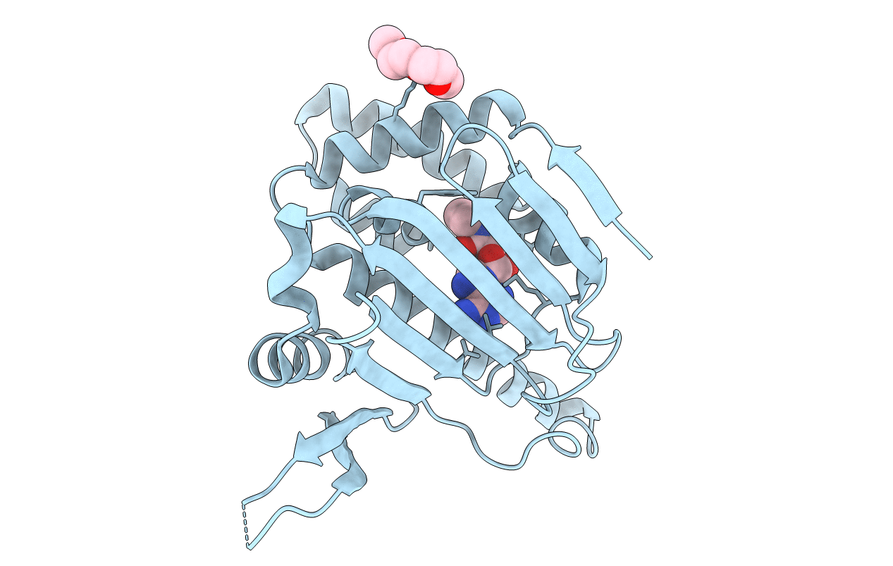 6D28 image