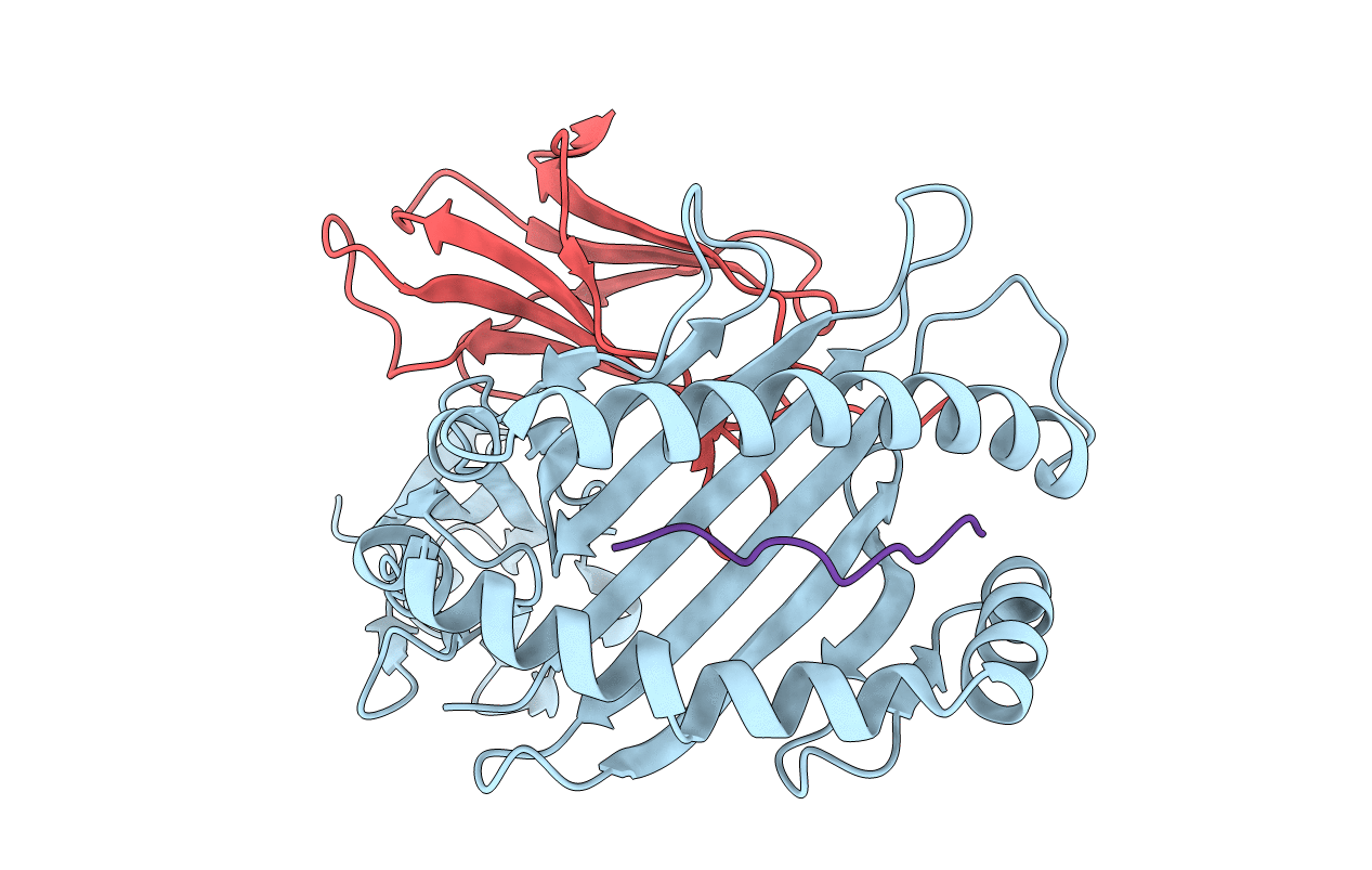 6D29 image