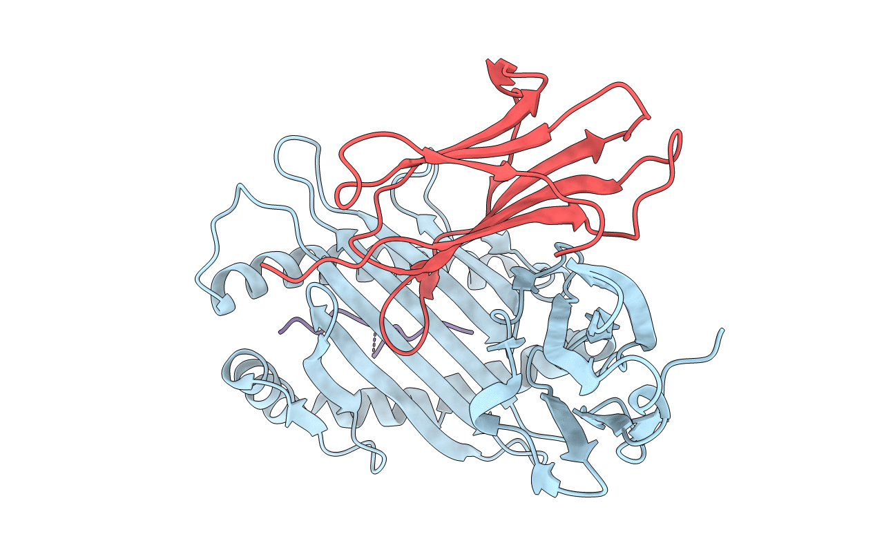 6D2B image